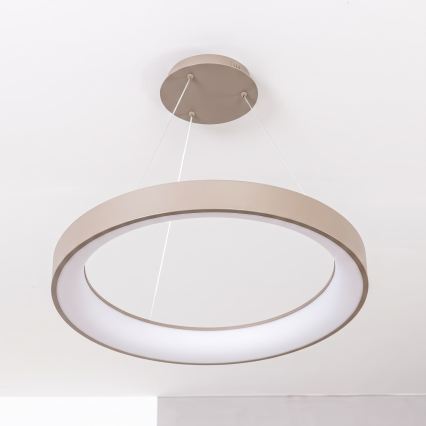 BRILAGI - LED Dæmpbar pendel på wire FALCON II LED/99W/230V 3000-6500K Ø 60 cm beige + fjernbetjening