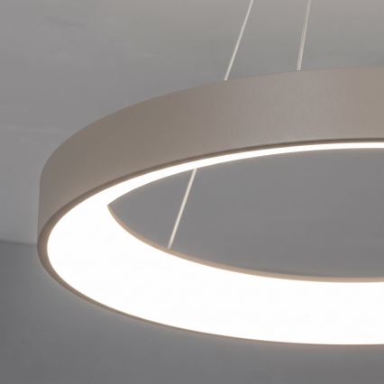BRILAGI - LED Dæmpbar pendel på wire FALCON II LED/99W/230V 3000-6500K Ø 60 cm beige + fjernbetjening