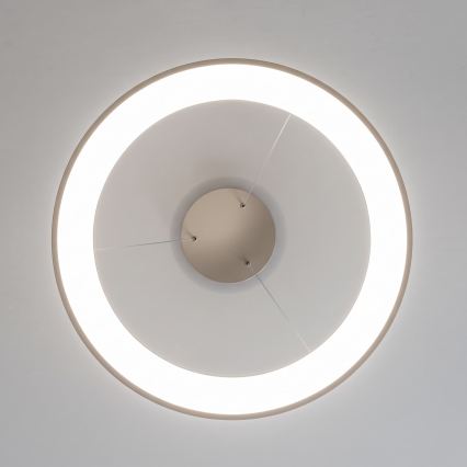 BRILAGI - LED Dæmpbar pendel på wire FALCON II LED/99W/230V 3000-6500K Ø 60 cm beige + fjernbetjening