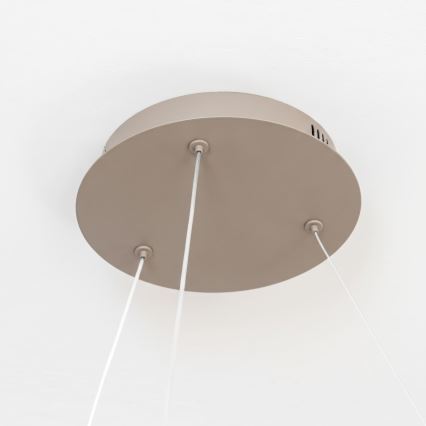 BRILAGI - LED Dæmpbar pendel på wire FALCON II LED/99W/230V 3000-6500K Ø 60 cm beige + fjernbetjening