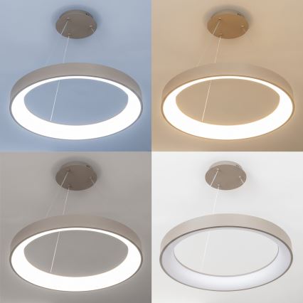BRILAGI - LED Dæmpbar pendel på wire FALCON II LED/99W/230V 3000-6500K Ø 60 cm beige + fjernbetjening