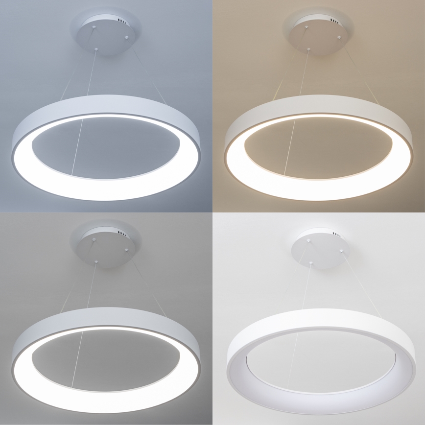 Brilagi - Dæmpbar LED-pendel på wire FALCON II LED/99W/230V 3000-6500K Ø 60 cm hvid + fjernbetjening