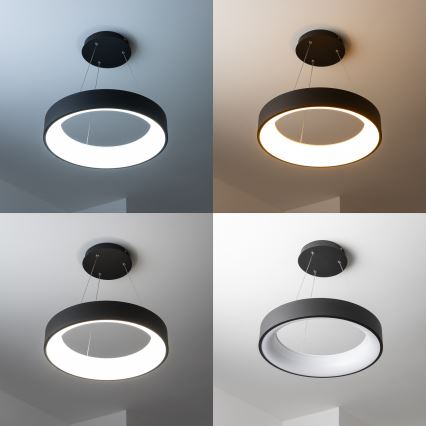 Brilagi - LED-dæmpbar pendel på wire FALCON LED/80W/230V 3000-6500K Ø 60 cm sort + fjernbetjening