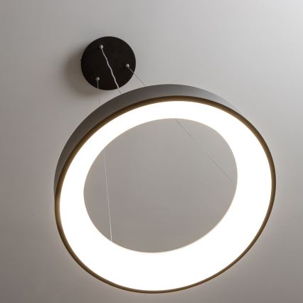 Brilagi - LED-dæmpbar pendel på wire FALCON LED/80W/230V 3000-6500K Ø 60 cm sort + fjernbetjening