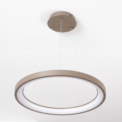 BRILAGI - LED Dæmpbar pendel med wireophæng FALCON SLIM LED/42W/230V 3000-6500K Ø 50 cm beige + fjernbetjening