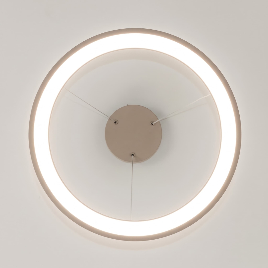 BRILAGI - LED Dæmpbar pendel med wireophæng FALCON SLIM LED/42W/230V 3000-6500K Ø 50 cm beige + fjernbetjening