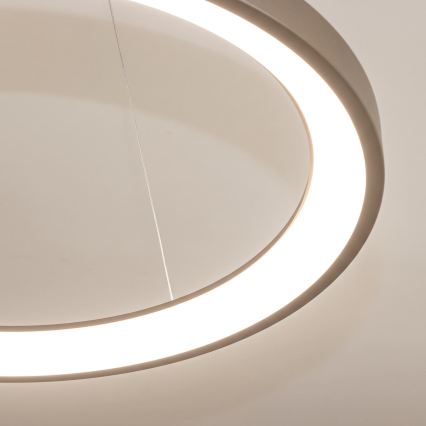BRILAGI - LED Dæmpbar pendel med wireophæng FALCON SLIM LED/42W/230V 3000-6500K Ø 50 cm beige + fjernbetjening