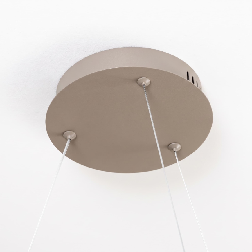 BRILAGI - LED Dæmpbar pendel med wireophæng FALCON SLIM LED/42W/230V 3000-6500K Ø 50 cm beige + fjernbetjening