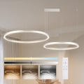 Brilagi - LED dæmpbar pendel på wire PORTOFINO LED/98W/230V 3000-6000K sølv + fjernbetjening
