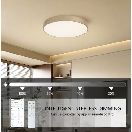 BRILAGI - LED-dæmpbar loftlampe POOL SMART LED/60W/230V 3000-6000K Ø 50 cm Wi-Fi Tuya guld + fjernbetjening