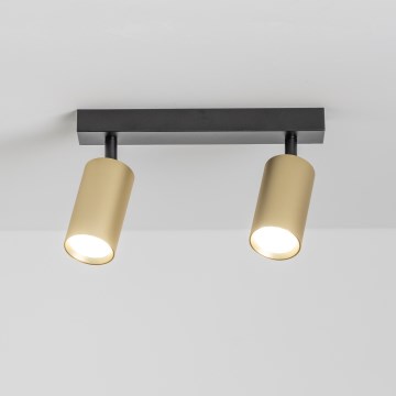 Brilagi - LED-dæmpbar spot SELE GOLDEN 2xGU10/6,5W/230V 2700-6500K sort/guld