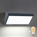 Brilagi - LED-dæmpbar udendørs væglampe TRIANGLE 1xE27/6W/230V 2700-6500K IP65 antracit