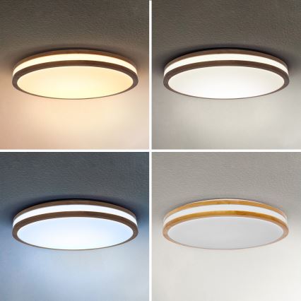 Brilagi - Dæmpbar LED-loftlampe MOLINA LED/72W/230V 3000-6500K eg Ø 78 cm + fjernbetjening