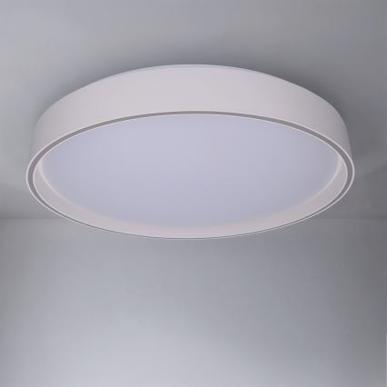 Brilagi - LED-dæmpbar loftlampe NANCI LED/60W/230V 3000-6500K Ø 49 cm hvid + fjernbetjening