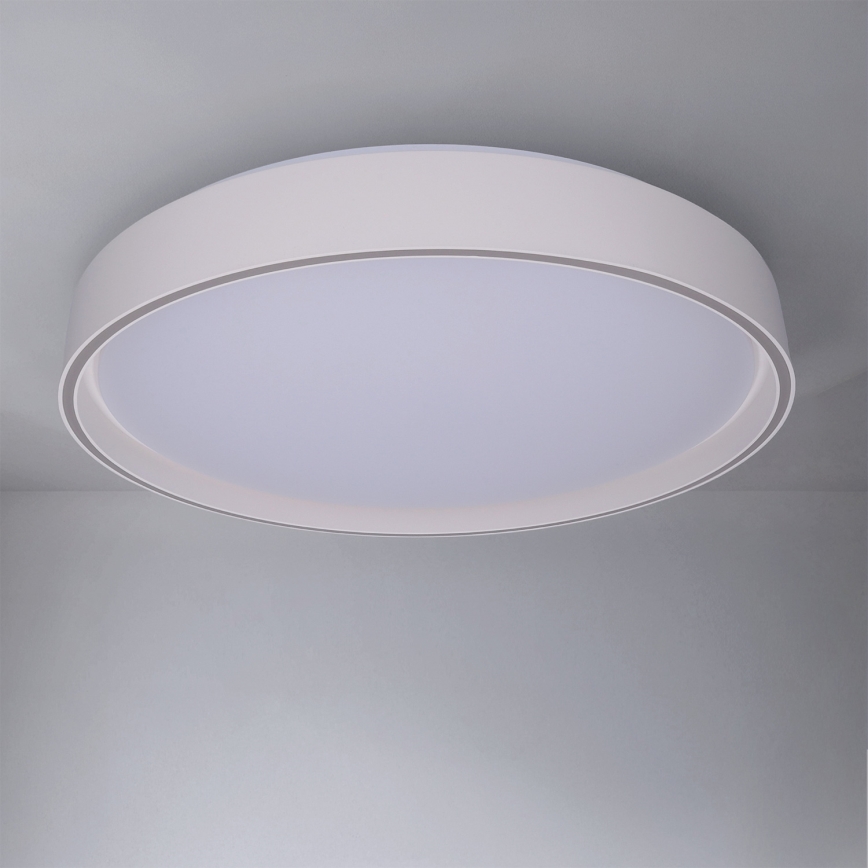Brilagi - LED-dæmpbar loftlampe NANCI LED/60W/230V 3000-6500K Ø 49 cm hvid + fjernbetjening