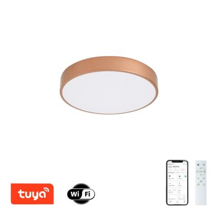 BRILAGI - LED Dæmpbar loftlampe POOL SMART LED/48W/230V 3000-6000K Ø 40 cm Wi-Fi Tuya kobberfarvet + fjernbetjening