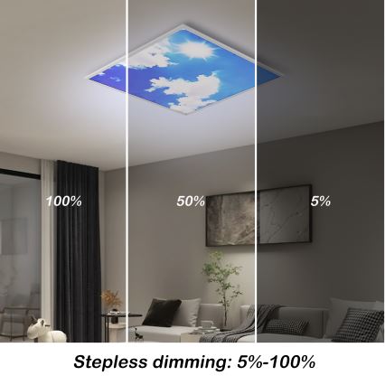 Brilagi - LED-dæmpbar loftlampe SLIMFRAME SKY LED/58W/230V 60x60 cm 3000-6000K sølv/blå + fjernbetjening