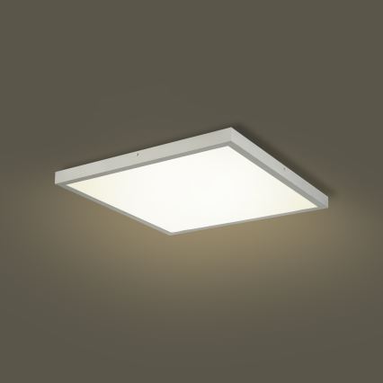 Brilagi - LED Dæmpbar badeværelsesloftlampe FRAME SMART LED/50W/230V 60x60 cm 3000-6000K IP44 sølv + fjernbetjening