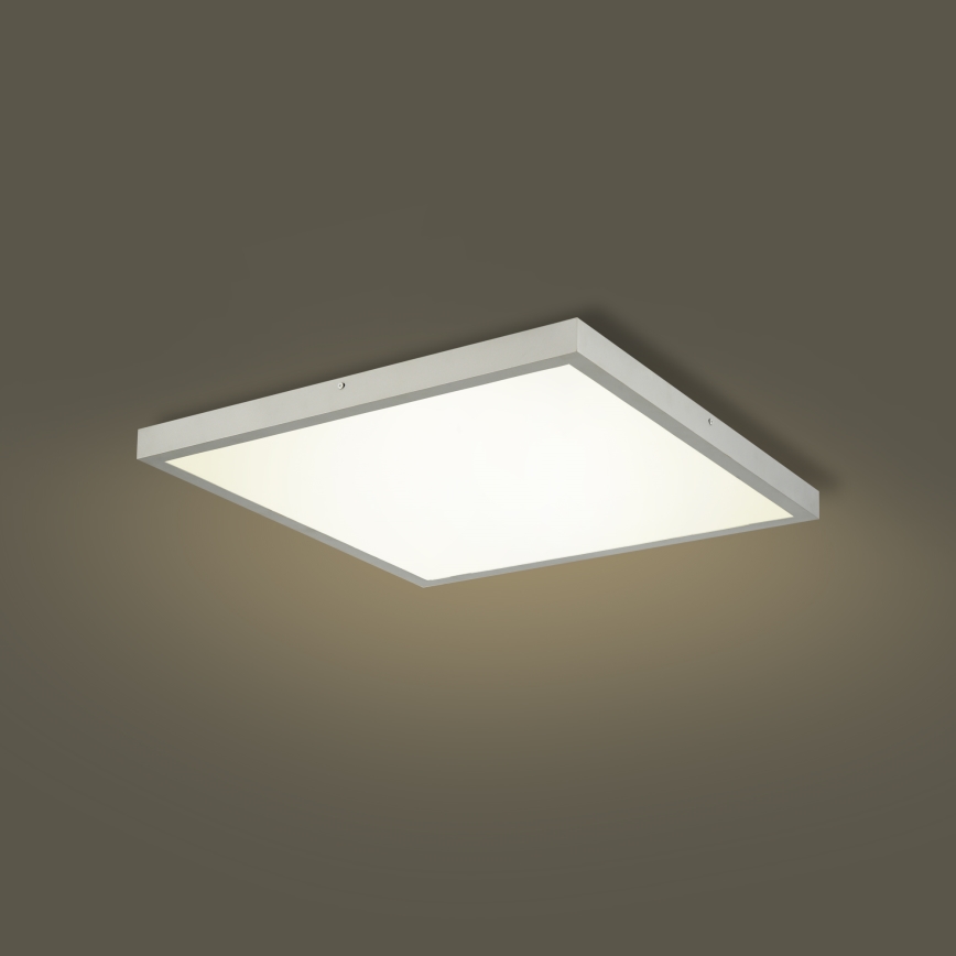 Brilagi - LED Dæmpbar badeværelsesloftlampe FRAME SMART LED/50W/230V 60x60 cm 3000-6000K IP44 sølv + fjernbetjening