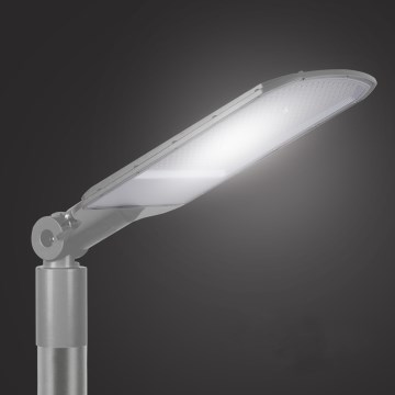 Brilagi - LED Gadelampe URBANLIGHT LED/200W/230V grå IP65