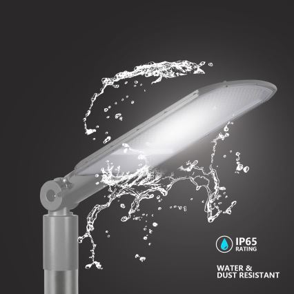 Brilagi - LED Gadelampe URBANLIGHT LED/200W/230V grå IP65