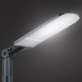 Brilagi - LED-gadelampe URBANLIGHT LED/250W/230V antracit IP65