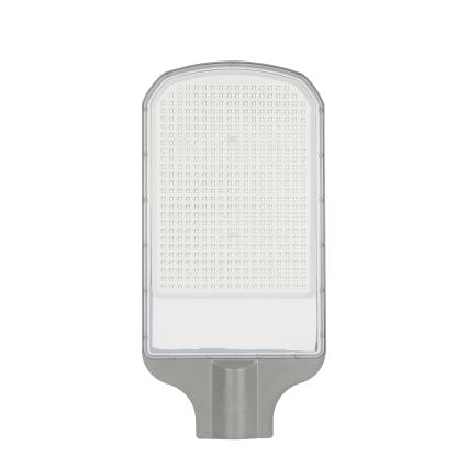 Brilagi - LED gadelampe URBANLIGHT LED/250W/230V grå IP65
