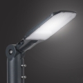 Brilagi - LED-gadelampe URBANLIGHT LED/50W/230V antracit IP65