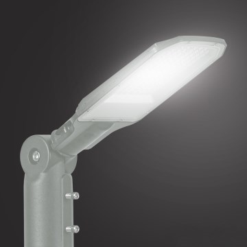 Brilagi - LED-gadelampe URBANLIGHT LED/50W/230V grå IP65