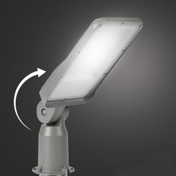 Brilagi - LED-gadelampe URBANLIGHT LED/50W/230V grå IP65
