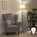 Brilagi - LED gulvlampe CERIA 1xE27/20W/230V Ø 30 cm beige/guld