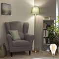 Brilagi - LED-gulvlampe CERIA 1xE27/20W/230V Ø 30 cm grøn/guld