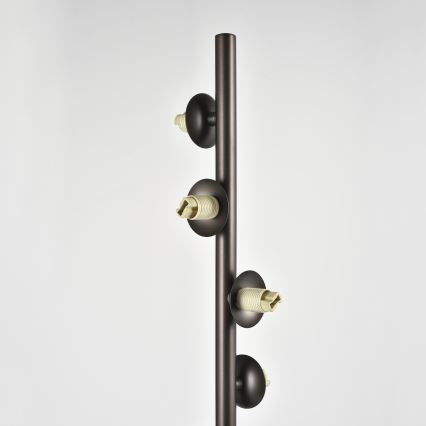 Brilagi - LED gulvlampe MILLA 7xG9/3W/230V brun/røgbrun