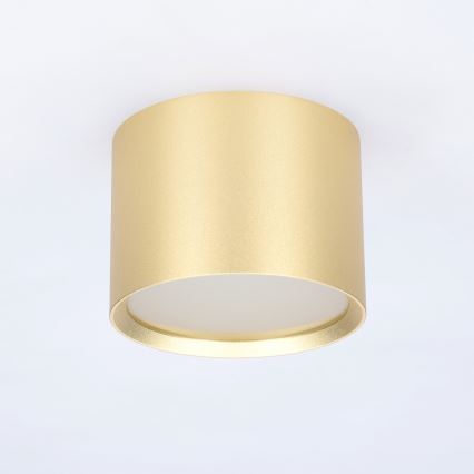 BRILAGI - LED badeværelses-spot SMOOTH 1xGX53/15W/230V 60x82 mm guld IP54