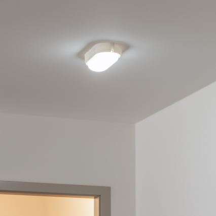 Brilagi - LED industriel loftlampe SIMA LED/12W/230V IP65 hvid