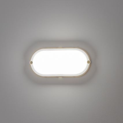 Brilagi - LED industriel loftlampe SIMA LED/12W/230V IP65 hvid