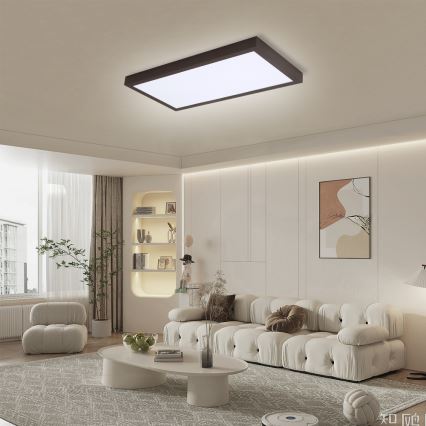 Brilagi - LED loftlampe til badeværelse dæmpbar FRAME SMART LED/30W/230V 30x60 cm 3000-6000K  IP44 sort  + fjernbetjening