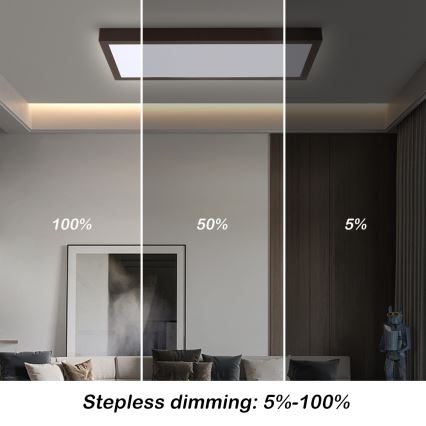 Brilagi - LED loftlampe til badeværelse dæmpbar FRAME SMART LED/30W/230V 30x60 cm 3000-6000K  IP44 sort  + fjernbetjening