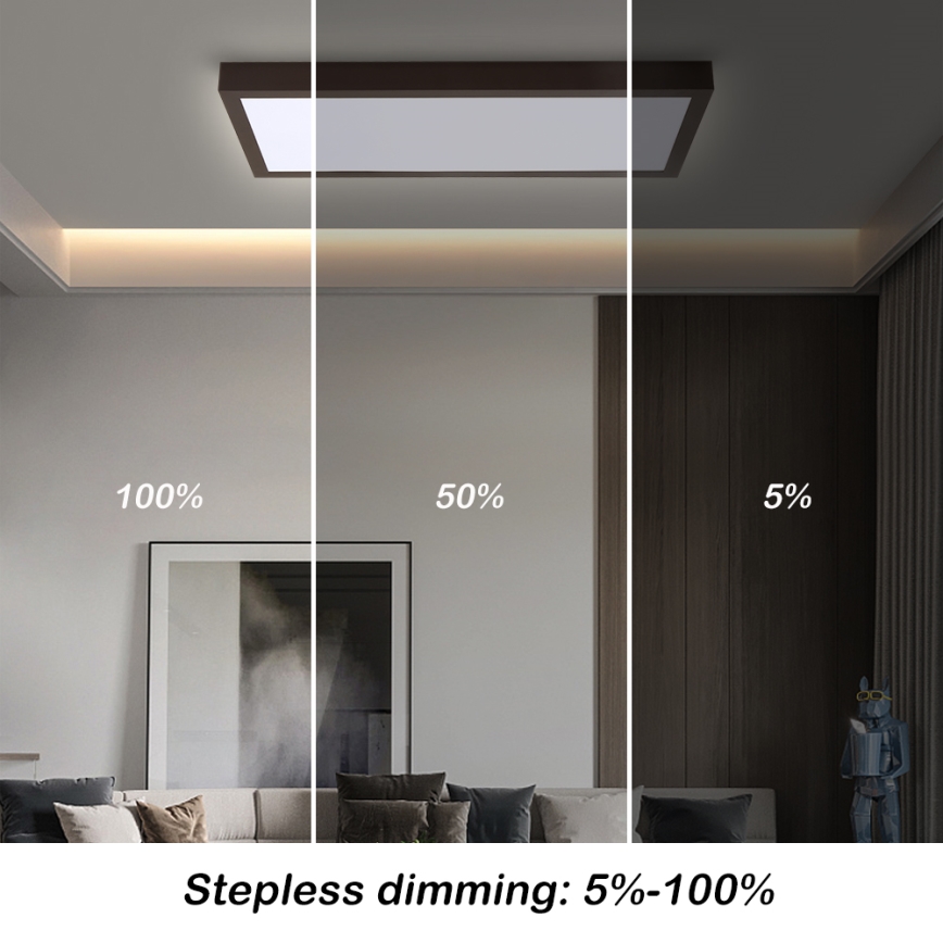 Brilagi - LED loftlampe til badeværelse dæmpbar FRAME SMART LED/30W/230V 30x60 cm 3000-6000K  IP44 sort  + fjernbetjening