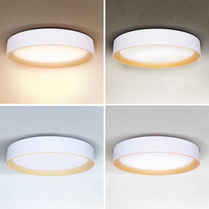 Brilagi - LED loftlampe dæmpbar LARIOS LED/60W/230V 3000-6500K ø 49 cm hvid + fjernbetjening