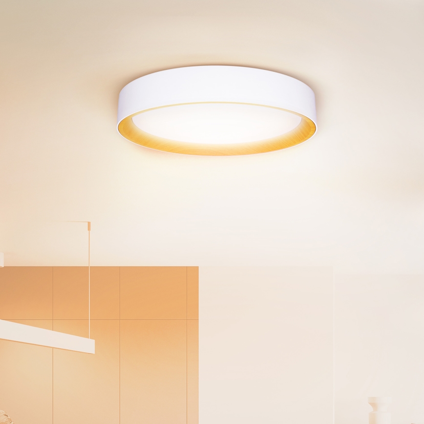 Brilagi - LED loftlampe dæmpbar LARIOS LED/60W/230V 3000-6500K ø 49 cm hvid + fjernbetjening