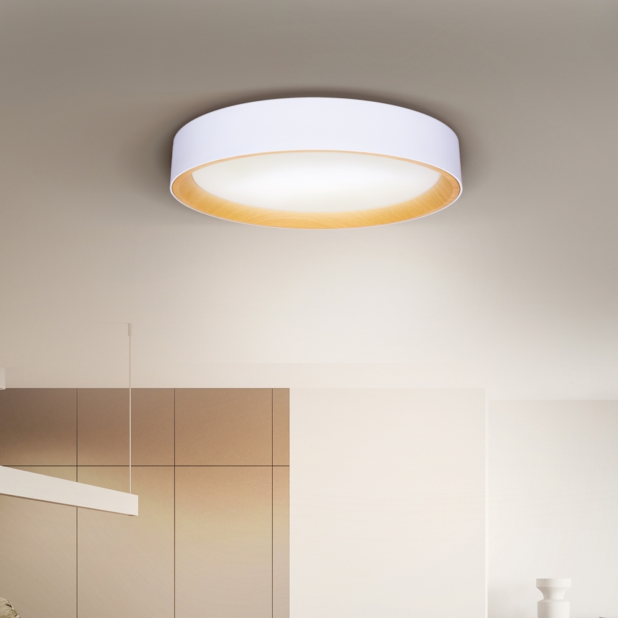 Brilagi - LED loftlampe dæmpbar LARIOS LED/60W/230V 3000-6500K ø 49 cm hvid + fjernbetjening
