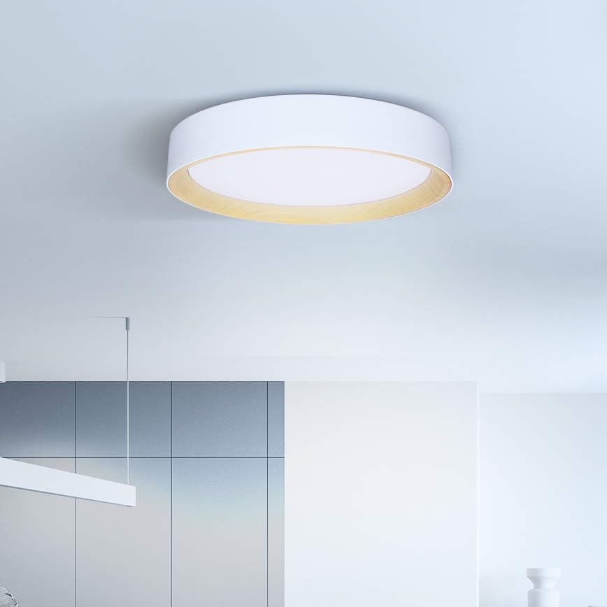 Brilagi - LED loftlampe dæmpbar LARIOS LED/60W/230V 3000-6500K ø 49 cm hvid + fjernbetjening