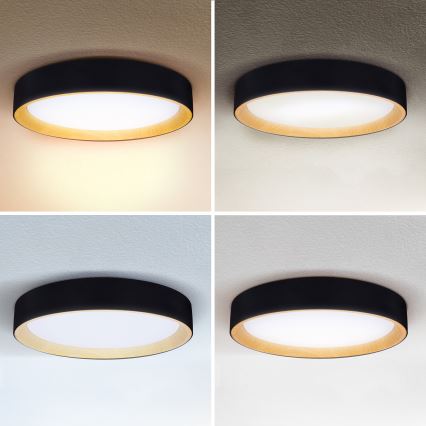 Brilagi - LED loftlampe dæmpbar LARIOS LED/60W/230V 3000-6500K ø 49 cm sort + fjernbetjening