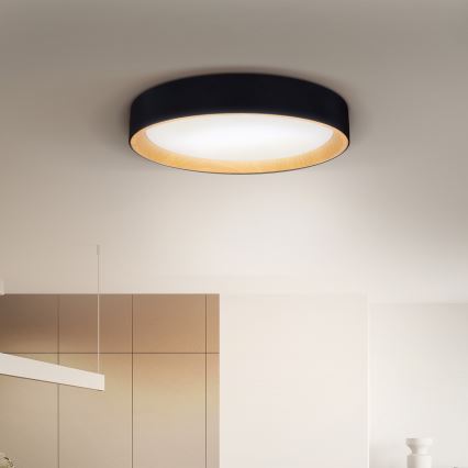 Brilagi - LED loftlampe dæmpbar LARIOS LED/60W/230V 3000-6500K ø 49 cm sort + fjernbetjening