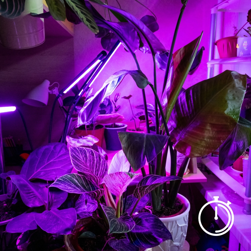 Brilagi - LED Dæmpbar fleksibel bordlampe med klemme til plantevækst VITABLOOM 3xLED/10W/230V sort