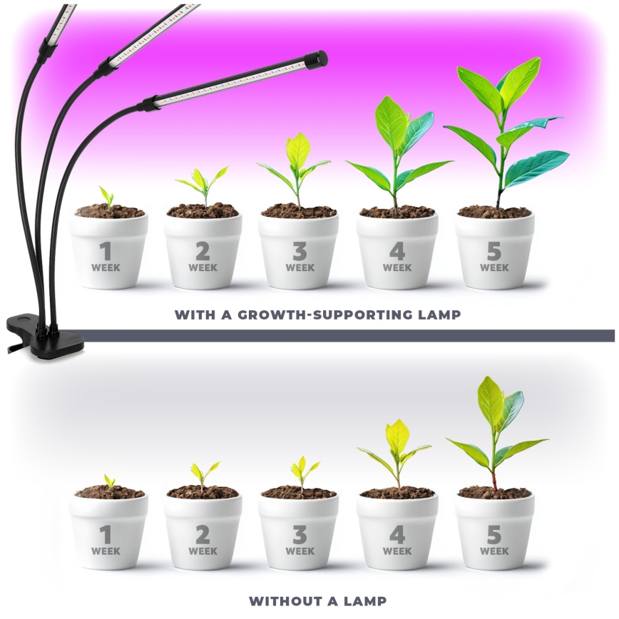 Brilagi - LED Dæmpbar fleksibel bordlampe med klemme til plantevækst VITABLOOM 3xLED/10W/230V sort