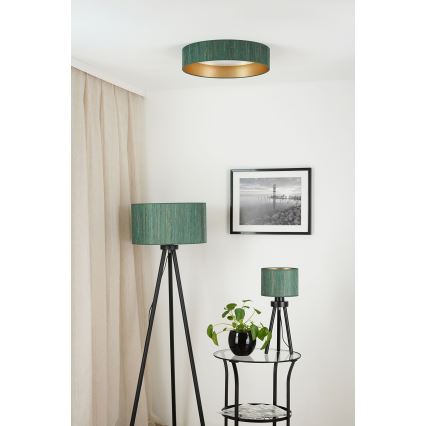 Brilagi - LED loftlampe dæmpbar VEGAS SHINE LED/24W/230V 3000/4000/6500K strå grøn/guldfarvet + fjernbetjening