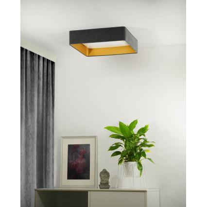 Brilagi - LED loftlampe dæmpbar VELVET SQUARE LED/24W/230V 3000/4000/6500K + fjernbetjening grå