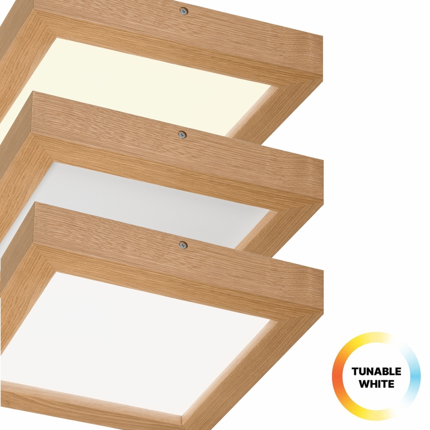 Brilagi - LED loftlampe til badeværelse dæmpbar WOODY FRAME LED/24W/230V eg 30x30 cm 3000-6000K IP44 + fjernbetjening